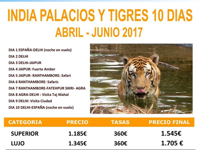 INDIA PALACIOS Y TIGRES